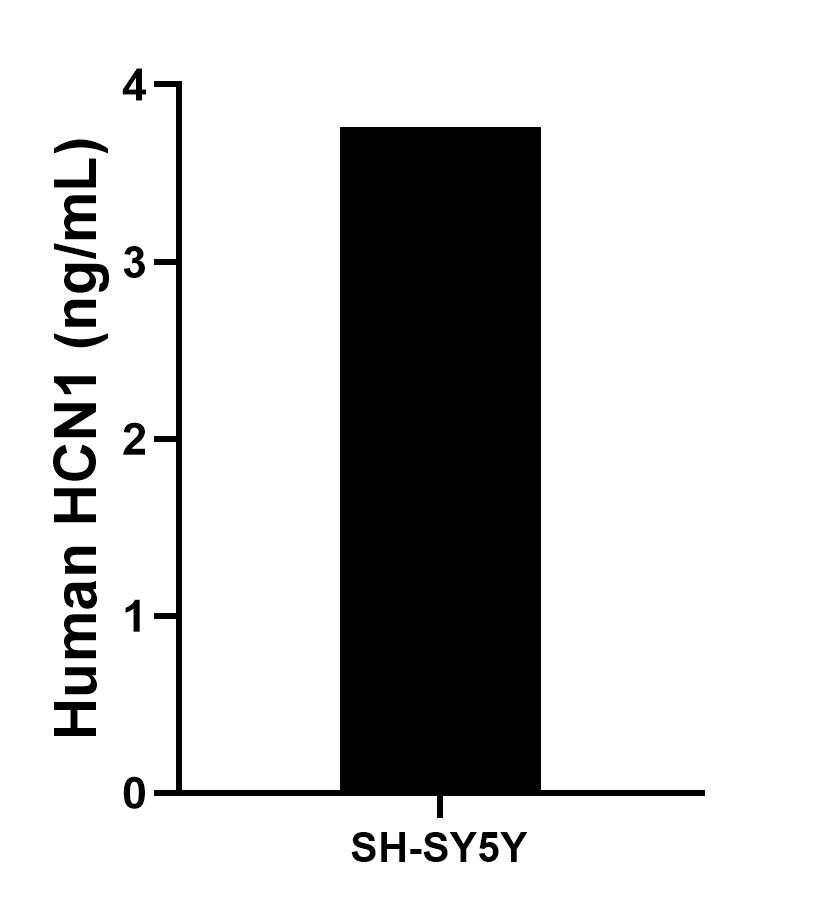 Sample test of MP01612-1