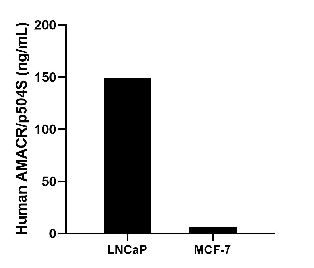 The mean AMACR/p504S concentration was determined to be 149.00 ng/mL in LNCaP cell extract based on a 2.00 mg/mL extract load and 6.31 ng/mL in MCF-7 cell extract based on a 1.20 mg/mL extract load. 
