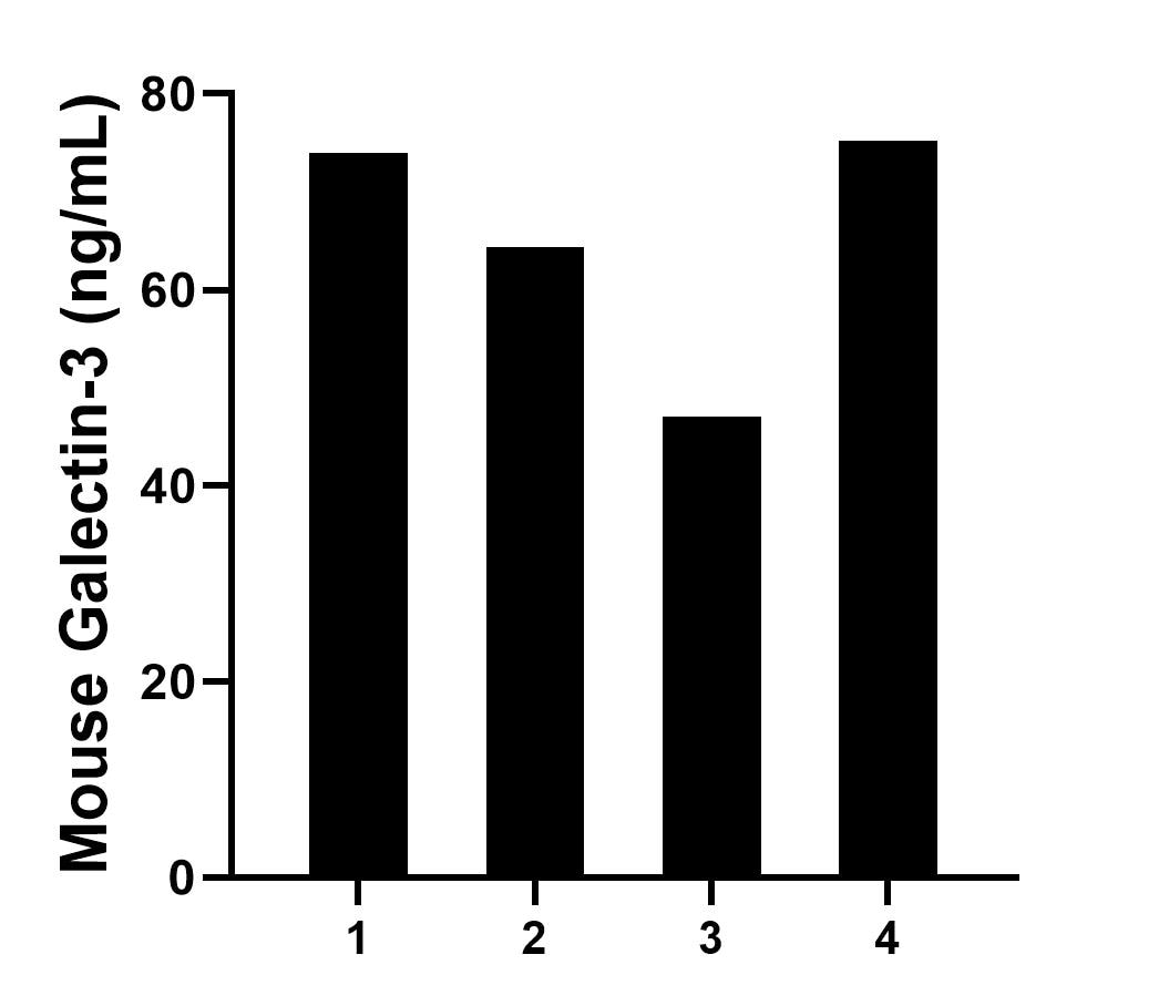 Sample test of MP01641-1