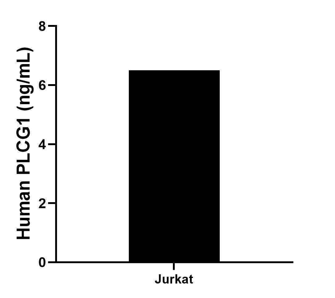 The mean PLCG1 concentration was determined to be 6.50 ng/mL in Jurkat cell extract based on a 1.2 mg/mL extract load. Sample test of MP01700-3