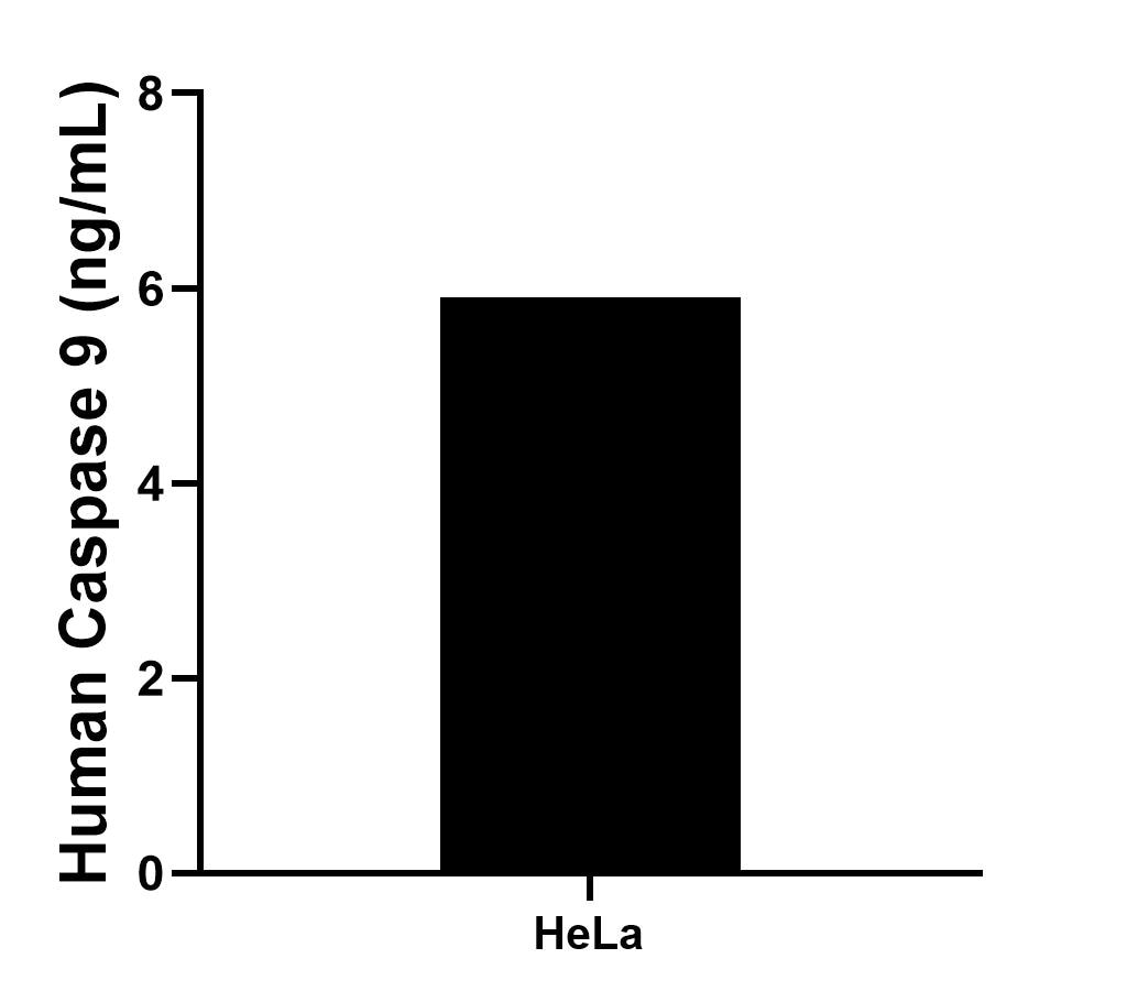 The mean Caspase 9 concentration was determined to be 5.91 ng/mL in HeLa cell extract based on a 1.00 mg/mL extract load.