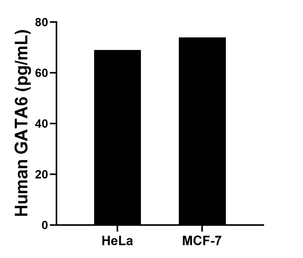 Sample test of MP01729-1