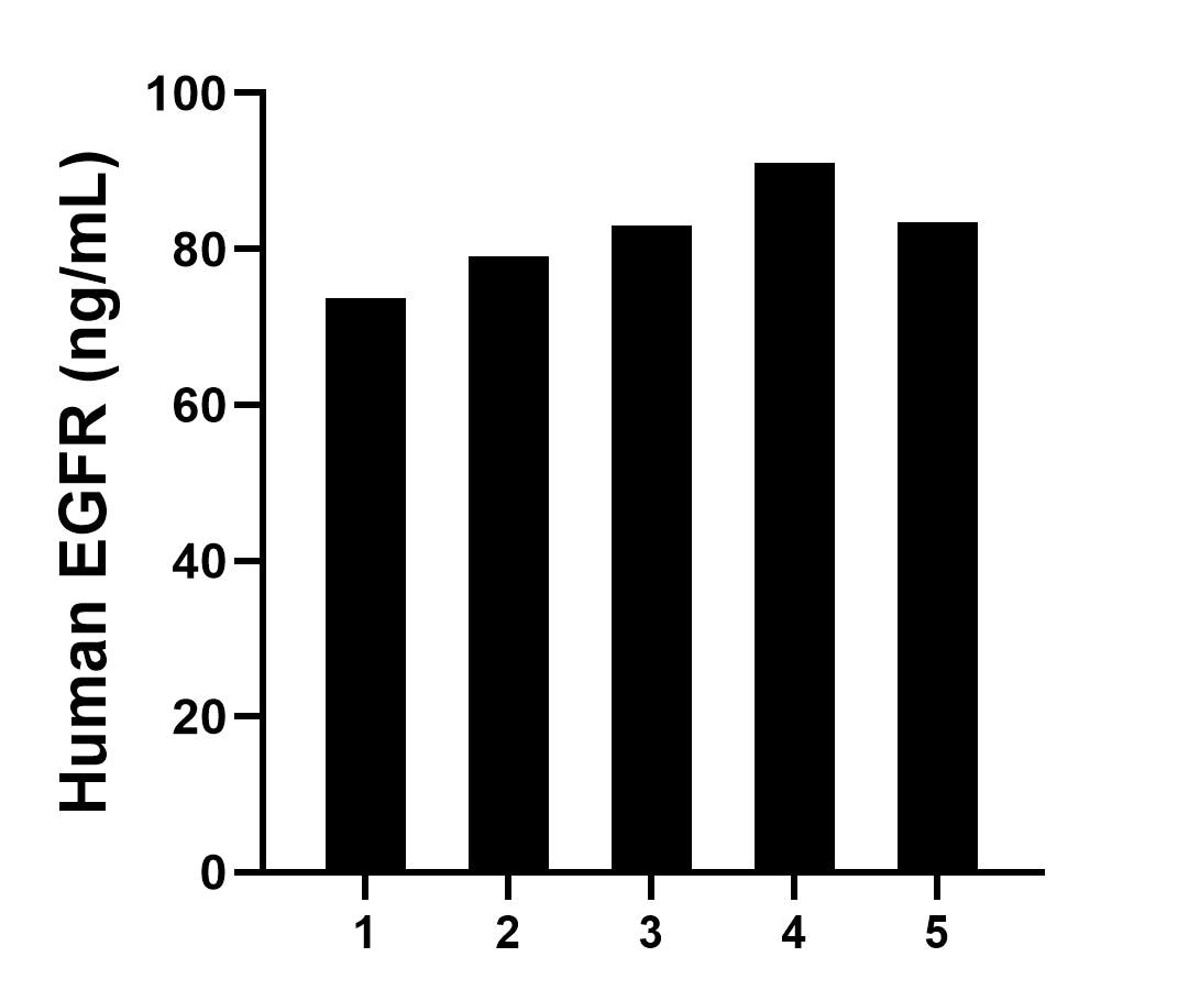 Serum of five individual healthy human donors was measured. The EGFR concentration of detected samples was determined to be 82.02 ng/mL with a range of 73.67-90.99 ng/mL.	