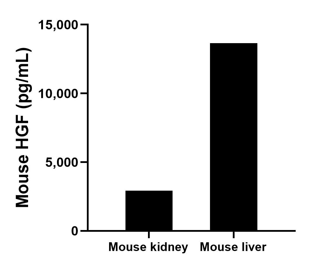 The mean HGF concentration was determined to be 2,919.6 pg/mL in mouse kidney tissue extract based on a 3.1 mg/mL extract load and 13,658.8 pg/mL in mouse liver tissue extract based on a 3.7 mg/mL extract load. Sample test of MP01760-3