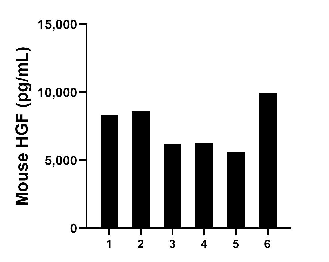 Serum of six mice was measured. The HGF concentration of detected samples was determined to be 7,505.4 pg/mL with a range of 5,590.3-9,962.8 pg/mL. Sample test of MP01760-3