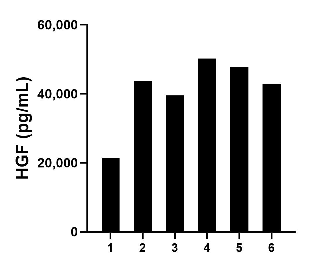 Serum of six rats was measured. The HGF concentration of detected samples was determined to be 40,922.2 pg/mL with a range of 21,345.0-50,183.1 pg/mL. Sample test of MP01760-3