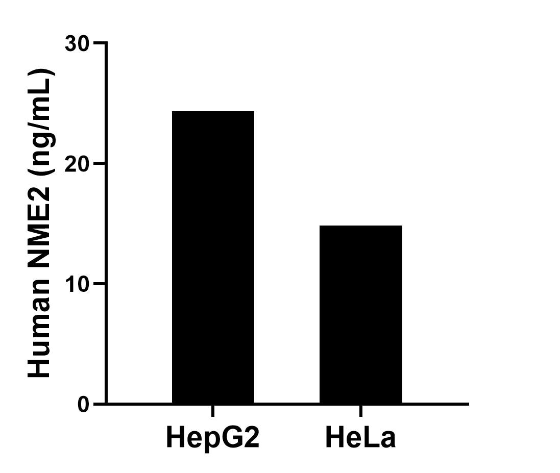 Sample test of MP01804-3