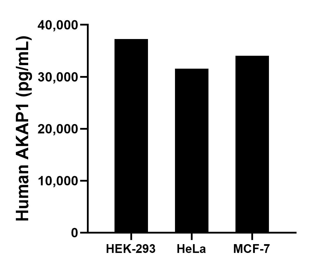 The mean AKAP1 concentration was determined to be 37,245.6 pg/mL in HEK-293 cell extract based on a 2.7 mg/mL extract load, 31,538.9 pg/mL in HeLa cell extract based on a 1.5 mg/mL extract load and 34,041.8 pg/mL in MCF-7 cell extract based on a 3.5 mg/mL extract load.
