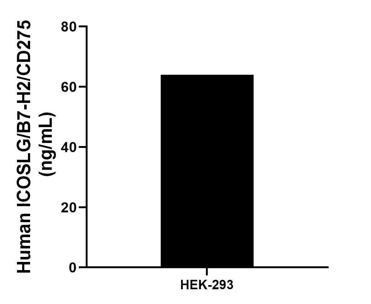 The mean ICOSLG/B7-H2/CD275 concentration was determined to be 63.95 ng/mL in HEK-293 cell extract based on a 2.7 mg/mL extract load.