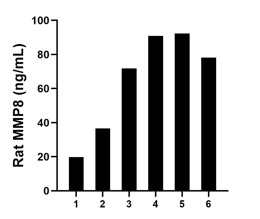 Serum of six rats was measured. The MMP8 concentration of detected samples was determined to be 65.0 ng/mL with a range of 19.8-92.4 ng/mL.