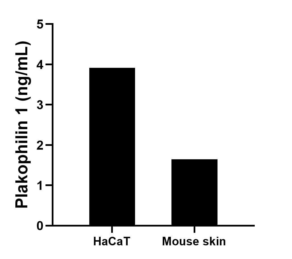 Sample test of MP01918-1