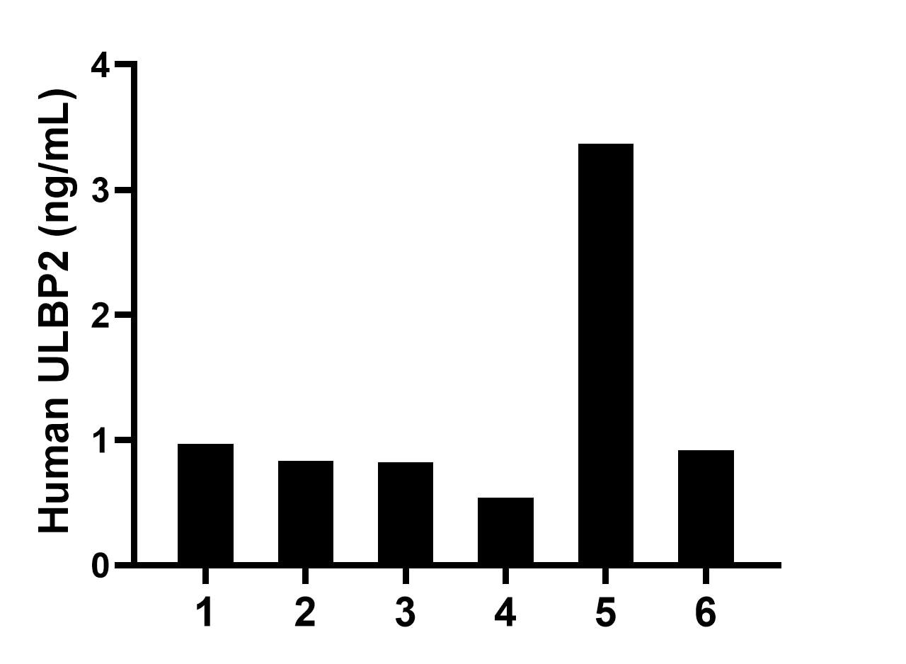 Serum of six individual healthy human donors was measured. The ULBP2 concentration of detected samples was determined to be 1.24 ng/mL with a range of 0.54-3.37 ng/mL.	