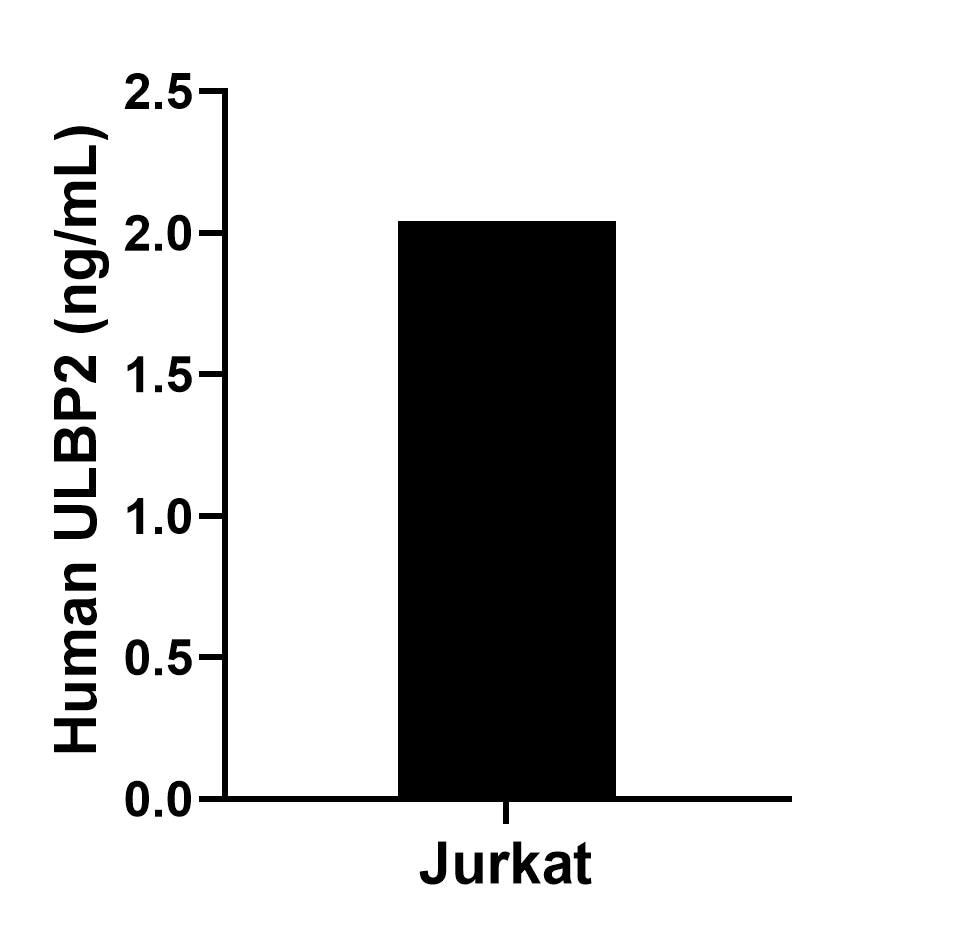Jurkat were cultured in DMEM supplemented with 10% fetal bovine serum, 2.5 mM L-glutamine, 100 U/mL penicillin, and 100 μg/mL streptomycin sulfate. An aliquot of the cell culture supernate was removed, assayed for human ULBP2, and measured 2.04 ng/mL.