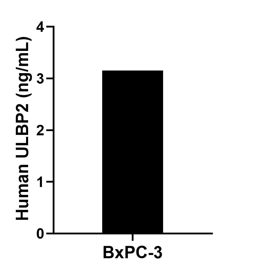 The mean ULBP2 concentration was determined to be 3.15 ng/mL in BxPC-3 cell extract based on a 2.00 mg/mL extract load.
