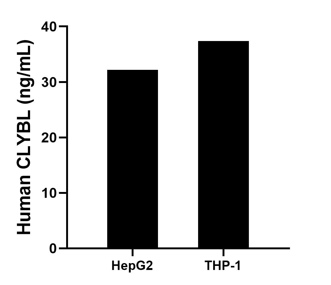 Sample test of MP01930-3