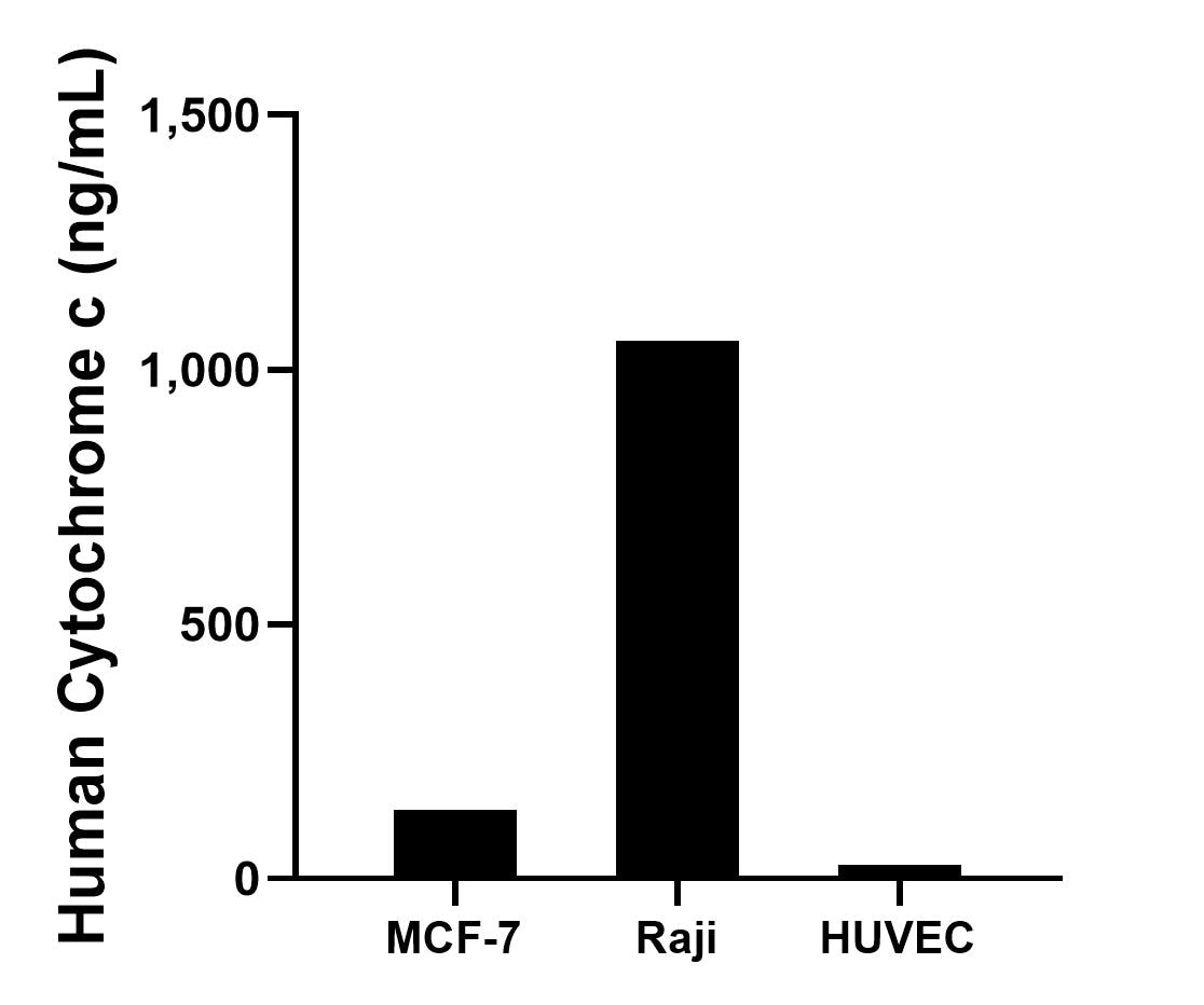 Sample test of MP01934-3