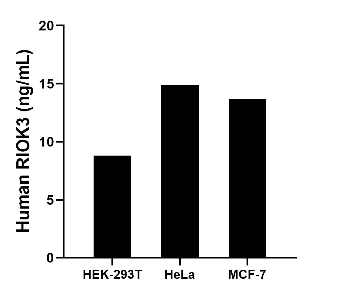 Sample test of MP01940-2