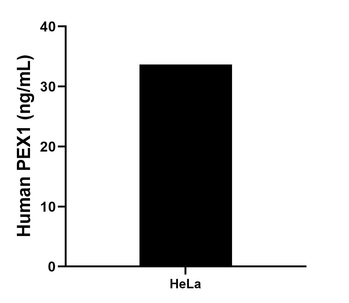 Sample test of MP01946-3