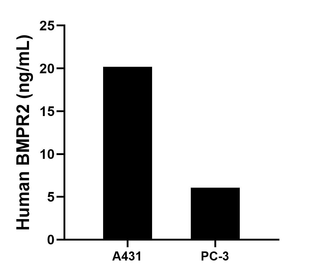 Sample test of MP01947-3