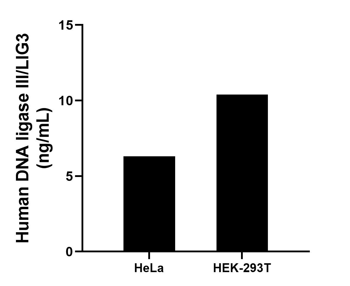 Sample test of MP01953-3