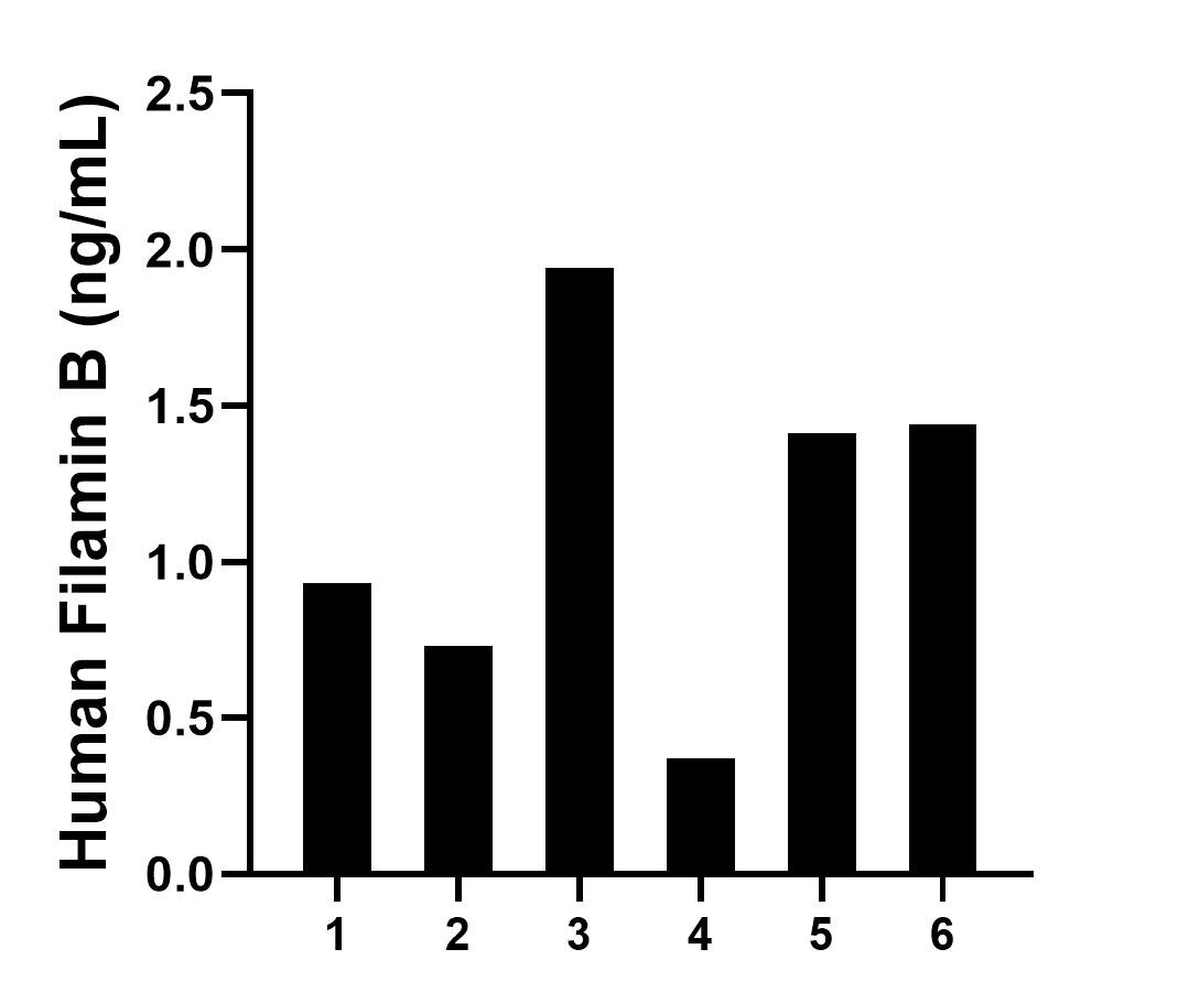 Sample test of MP01960-1