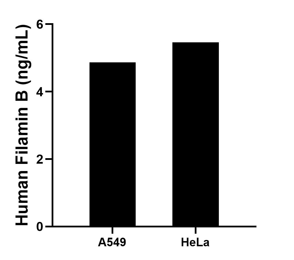 Sample test of MP01960-1