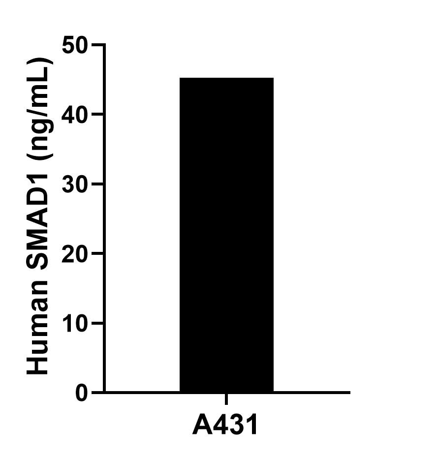 Sample test of MP01962-1