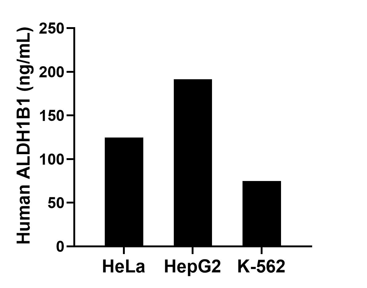 Sample test of MP01995-1