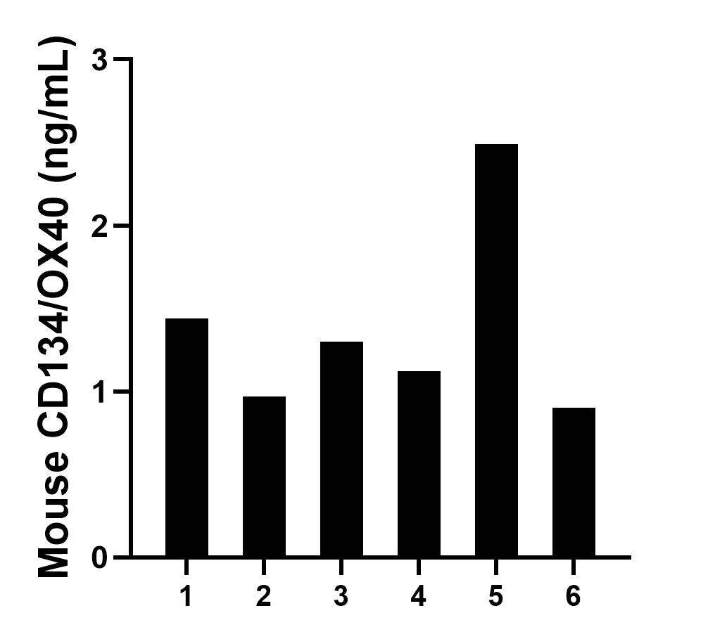 Serum of six mice was measured. The mouse CD134/OX40 concentration of detected samples was determined to be 1.37 ng/mL with a range of 0.90 - 2.49 ng/mL.