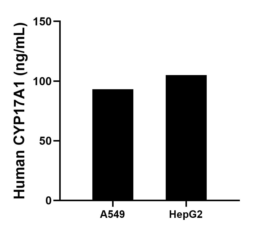 The mean CYP17A1 concentration was determined to be 93.13 ng/mL in A549 cell extract based on a 3.10 mg/mL extract load and 105.10 ng/mL in HepG2 cell extract based on a 1.80 mg/mL extract load. 