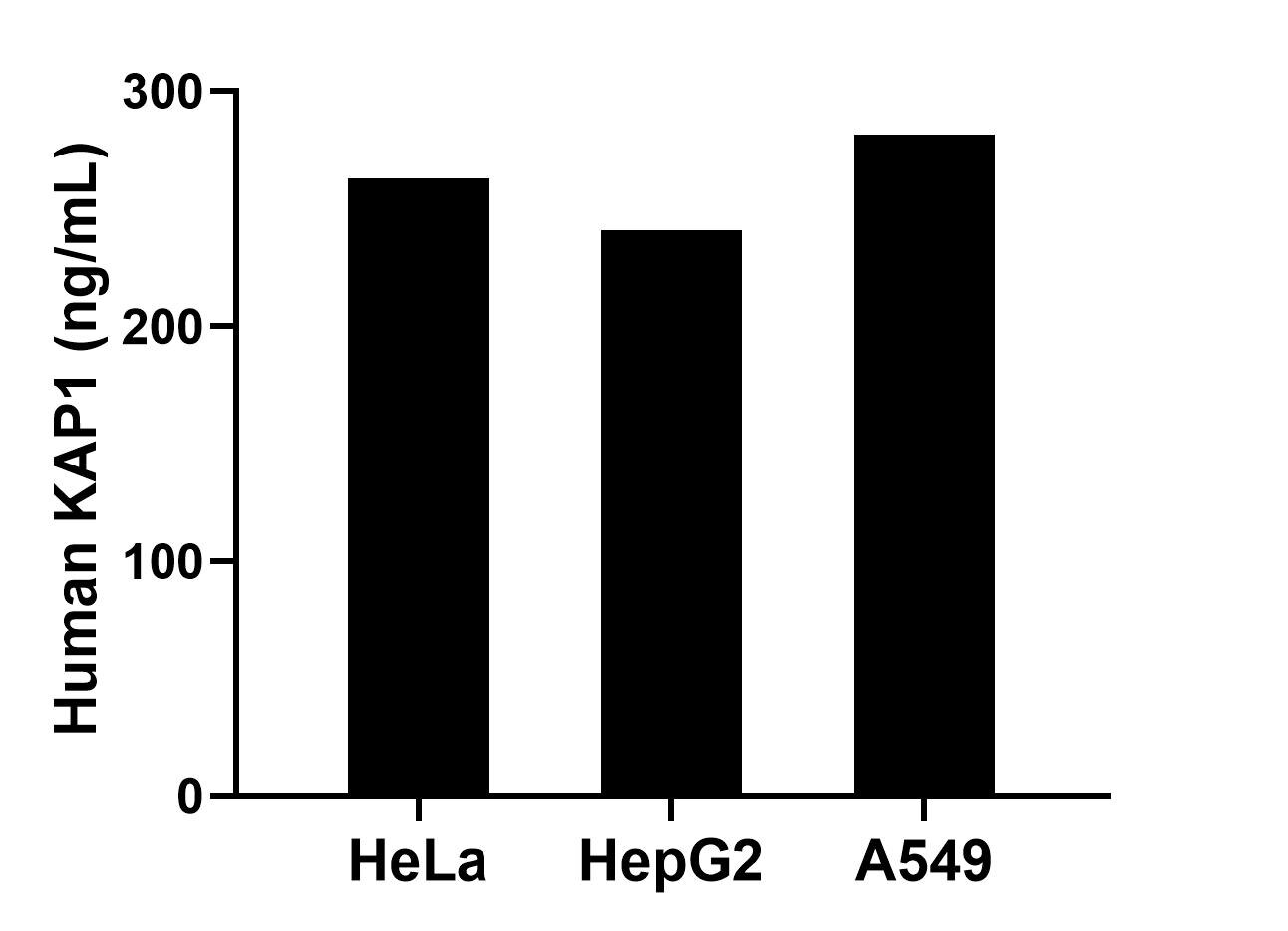 The mean KAP1 concentration was determined to be 262.9 ng/mL in HeLa cell extract based on a 1.5 mg/mL extract load, 240.8 ng/mL in HepG2 cell extract based on a 1.8 mg/mL extract load and 281.5 ng/mL in A549 cell extract based on a 3.1 mg/mL extract load.