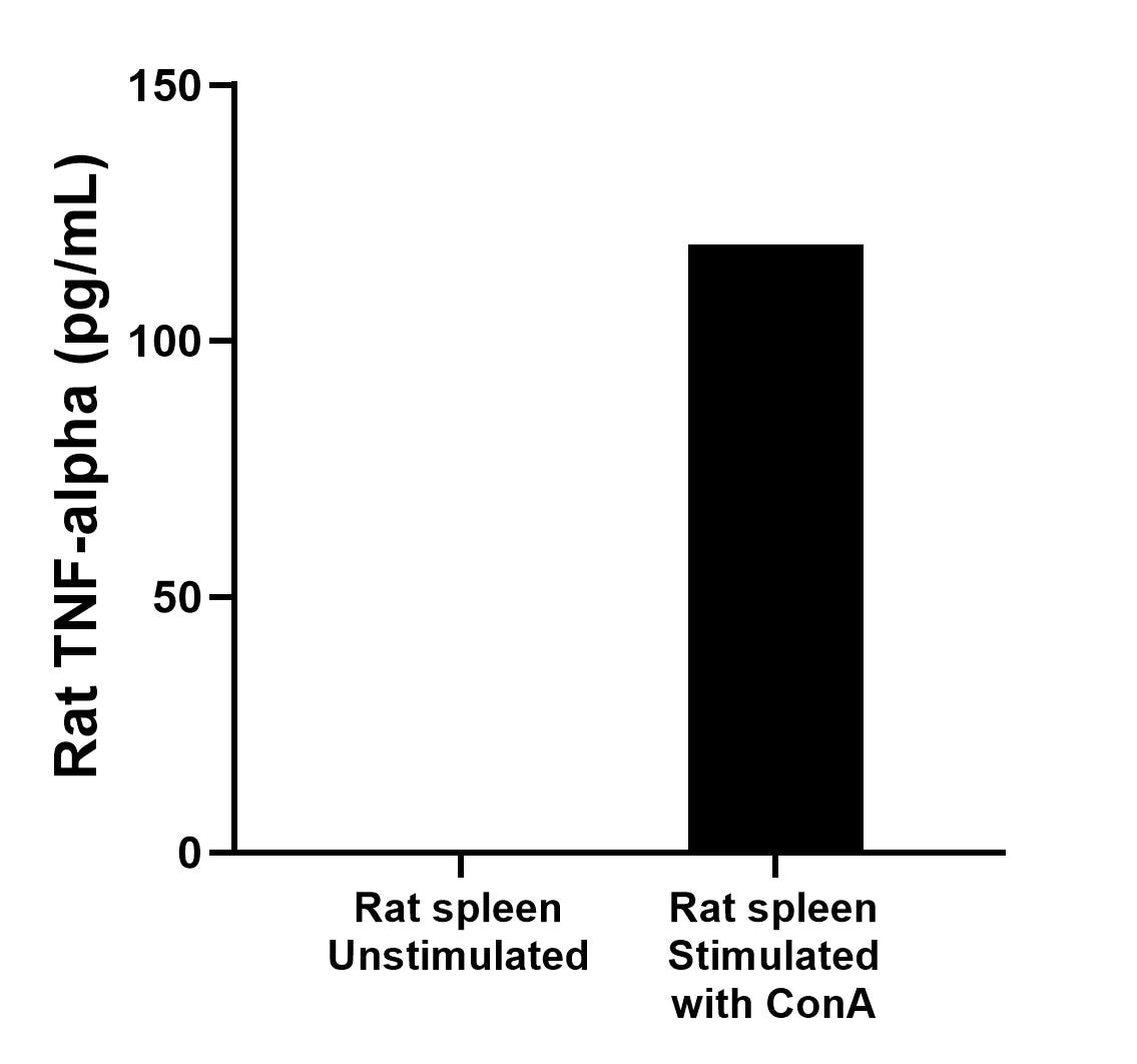 Rat spleens were cut into 1-2 mm pieces and cultured unstimulated or stimulated with 5 μg/mL ConA for 2 days. The mean TNF-alpha concentration was not determined in unstimulated supernatant, 118.8 pg/mL in ConA stimulated supernatant. 