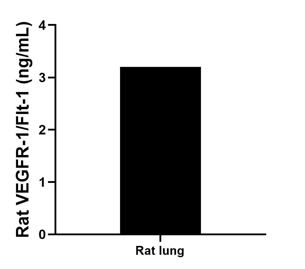 The mean VEGFR-1/Flt-1 concentration was determined to be 3.2 ng/mL in rat lung tissue extract based on a 1.2 mg/mL extract load. Sample test of MP02054-3