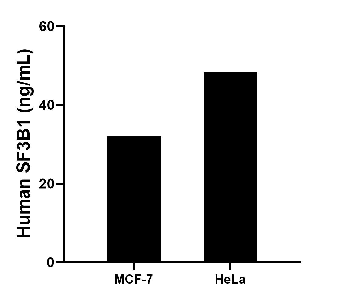 Sample test of MP02058-3