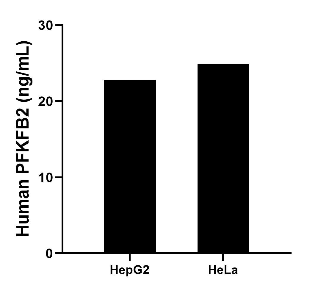 Sample test of MP02061-3