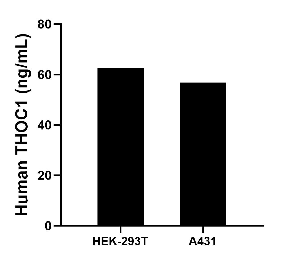 Sample test of MP02063-3