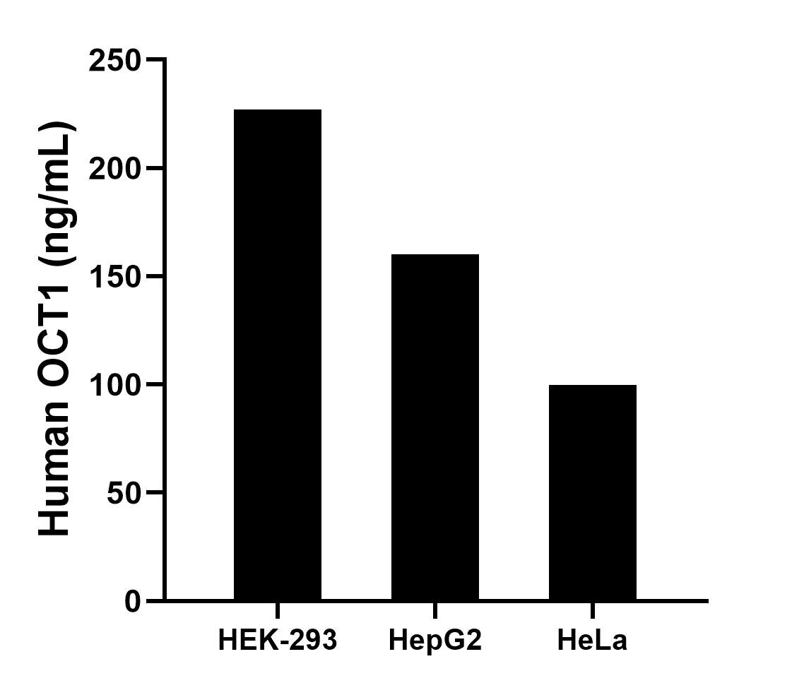 Sample test of MP02071-1
