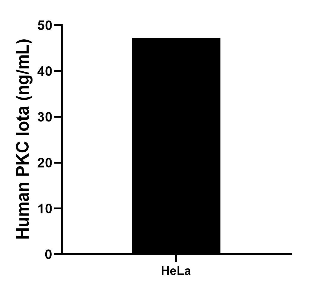 Sample test of MP02074-3