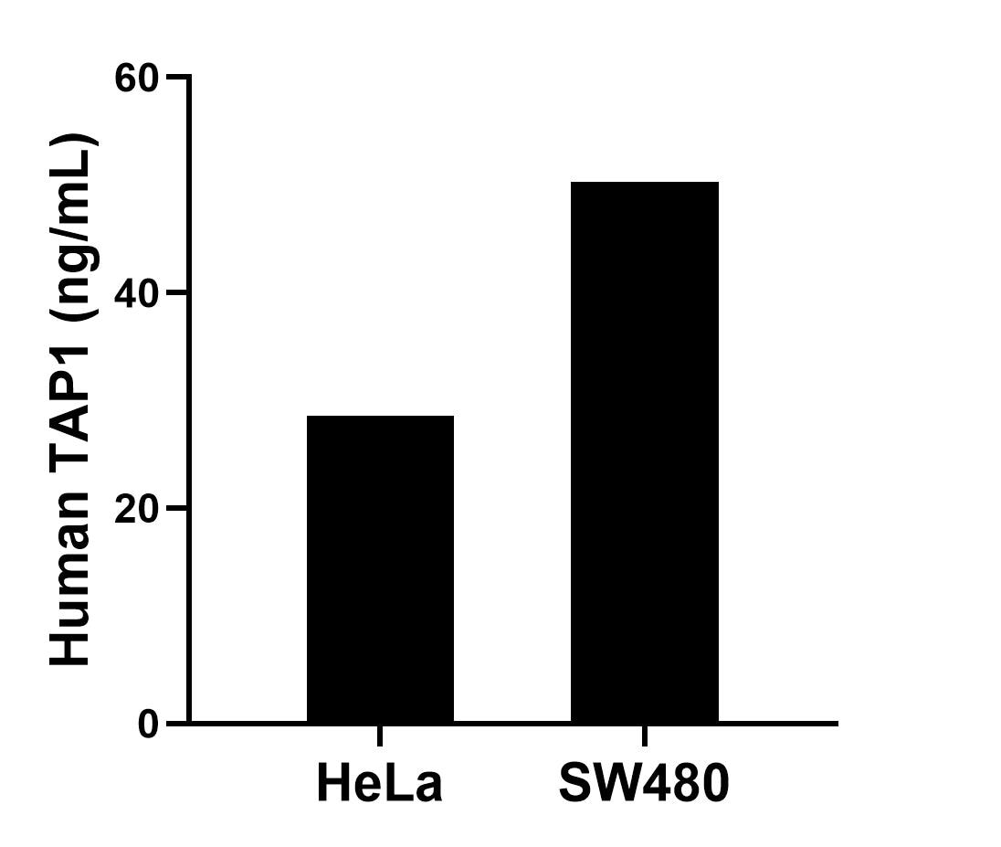 Sample test of MP02080-1