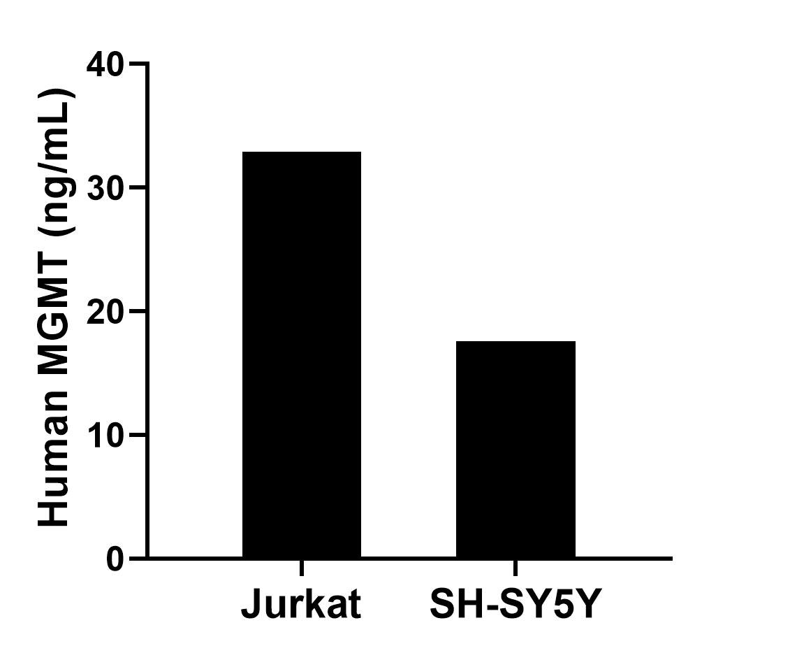 Sample test of MP02085-2