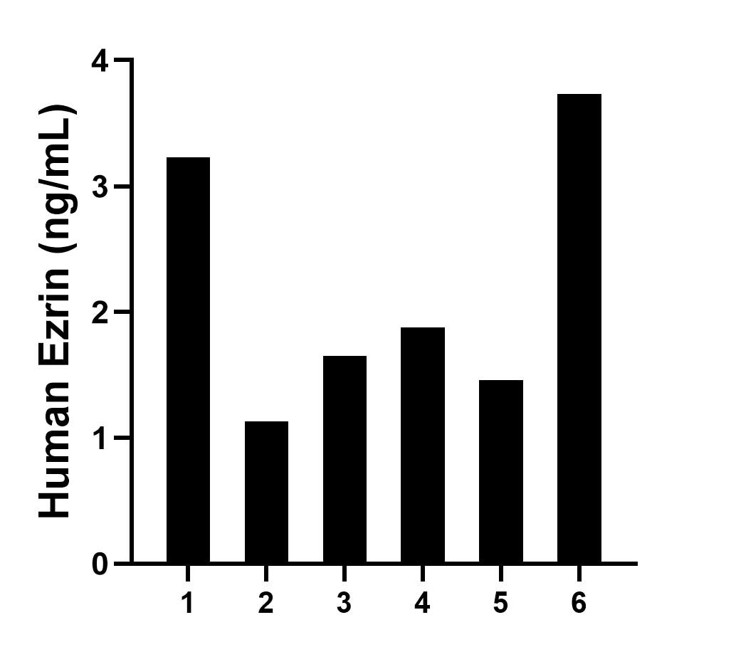Sample test of MP02097-2
