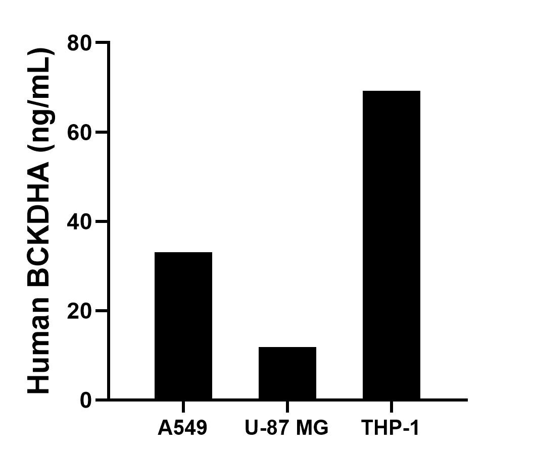 Sample test of MP02125-3