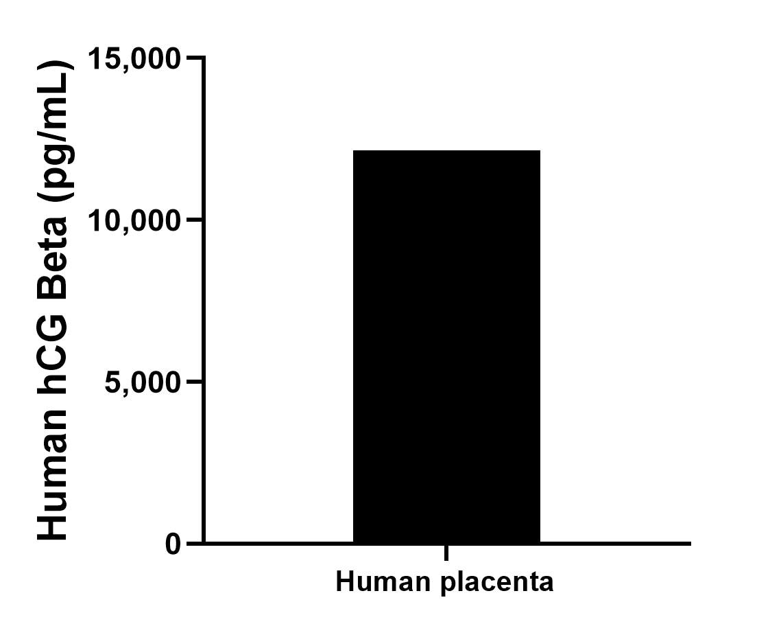 The mean hCG Beta concentration was determined to be 12,153.3 pg/mL in human placenta extract based on a 3.2 mg/mL extract load.