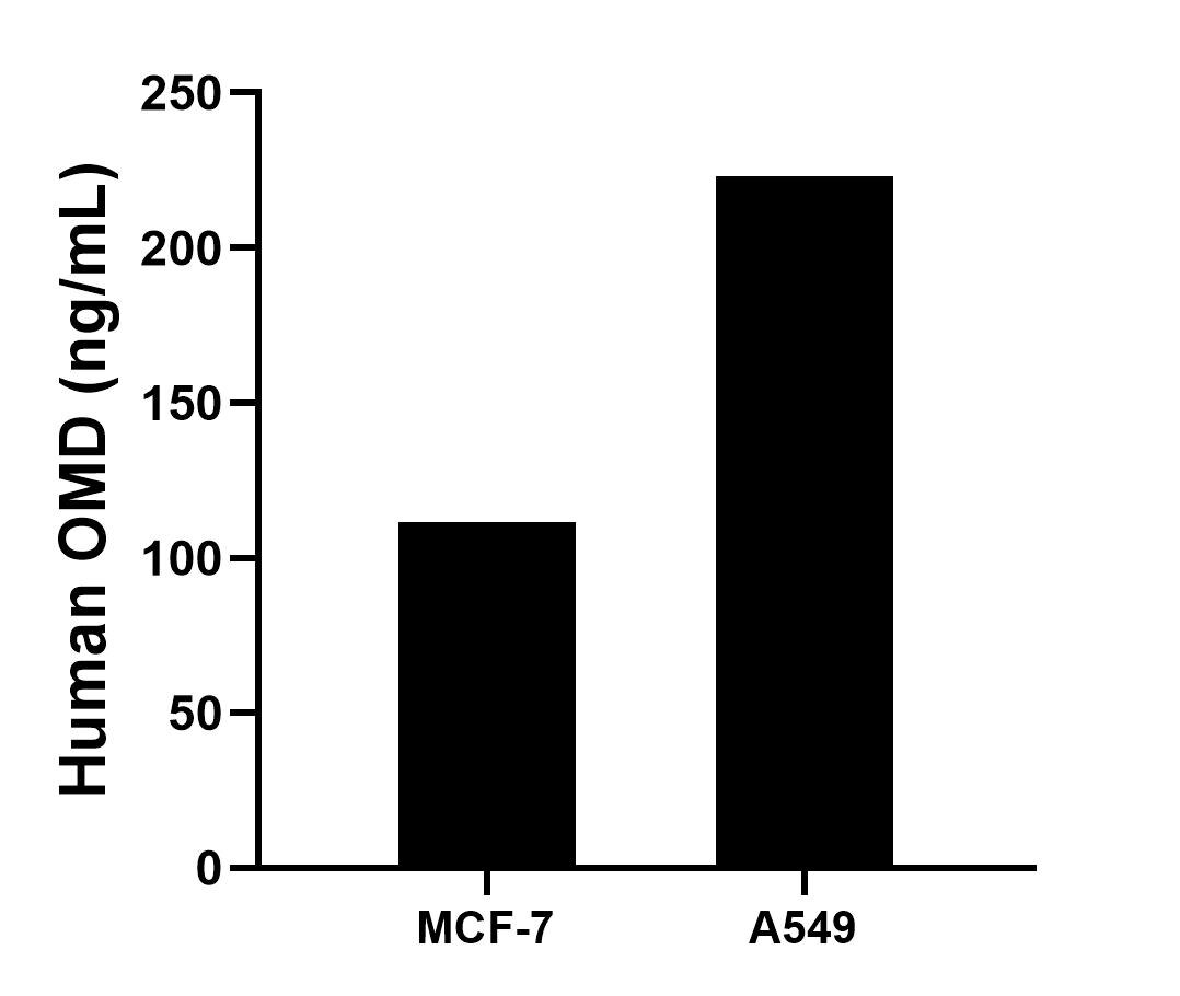 Sample test of MP02156-1