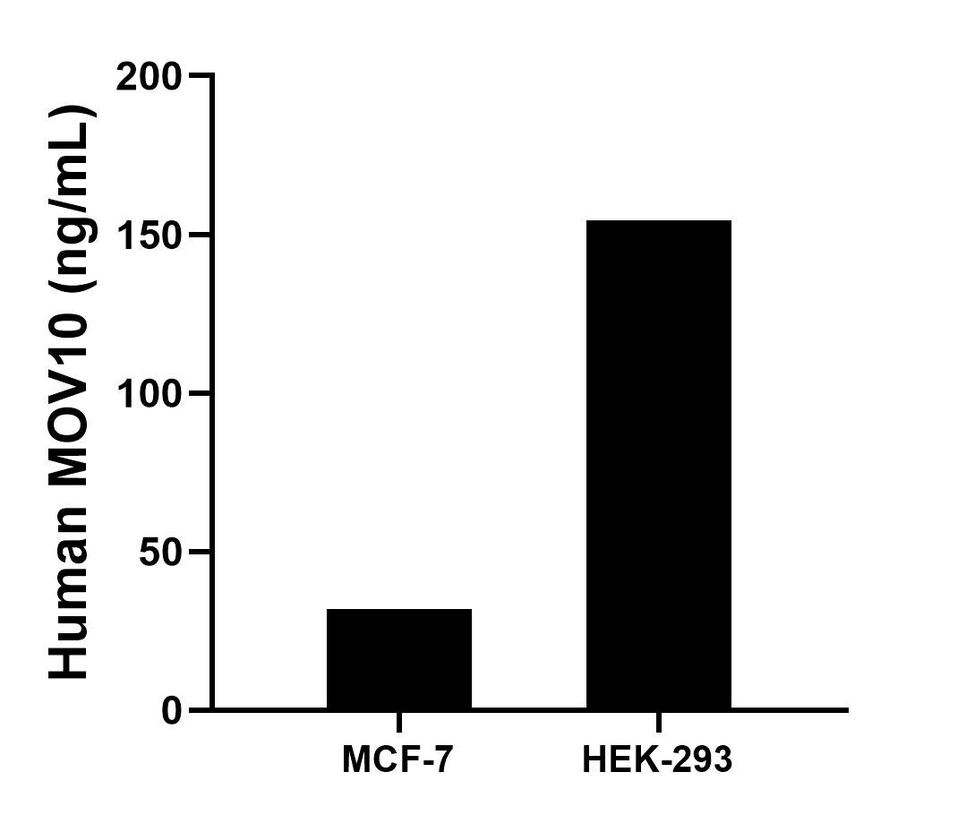 Sample test of MP02162-1