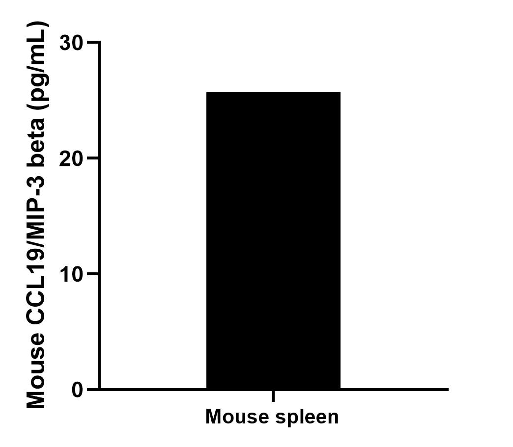 Sample test of MP02165-1