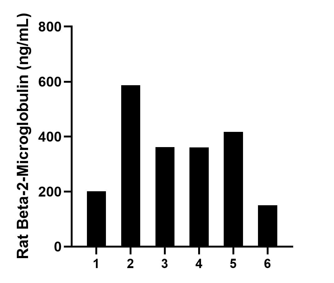 Urine of six rats was measured. The Beta-2-Microglobulin concentration of detected samples was determined to be 346.3 ng/mL with a range of 149.9-587.3 ng/mL.