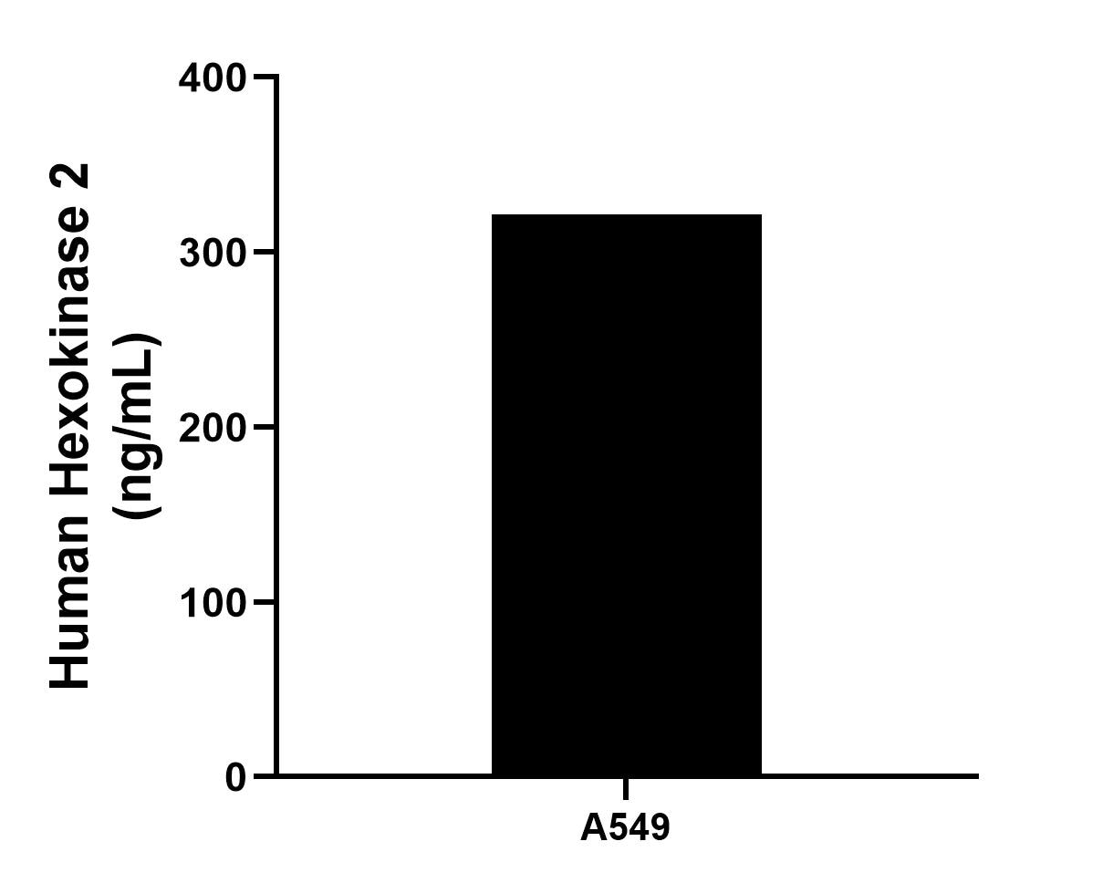 Sample test of MP02173-3