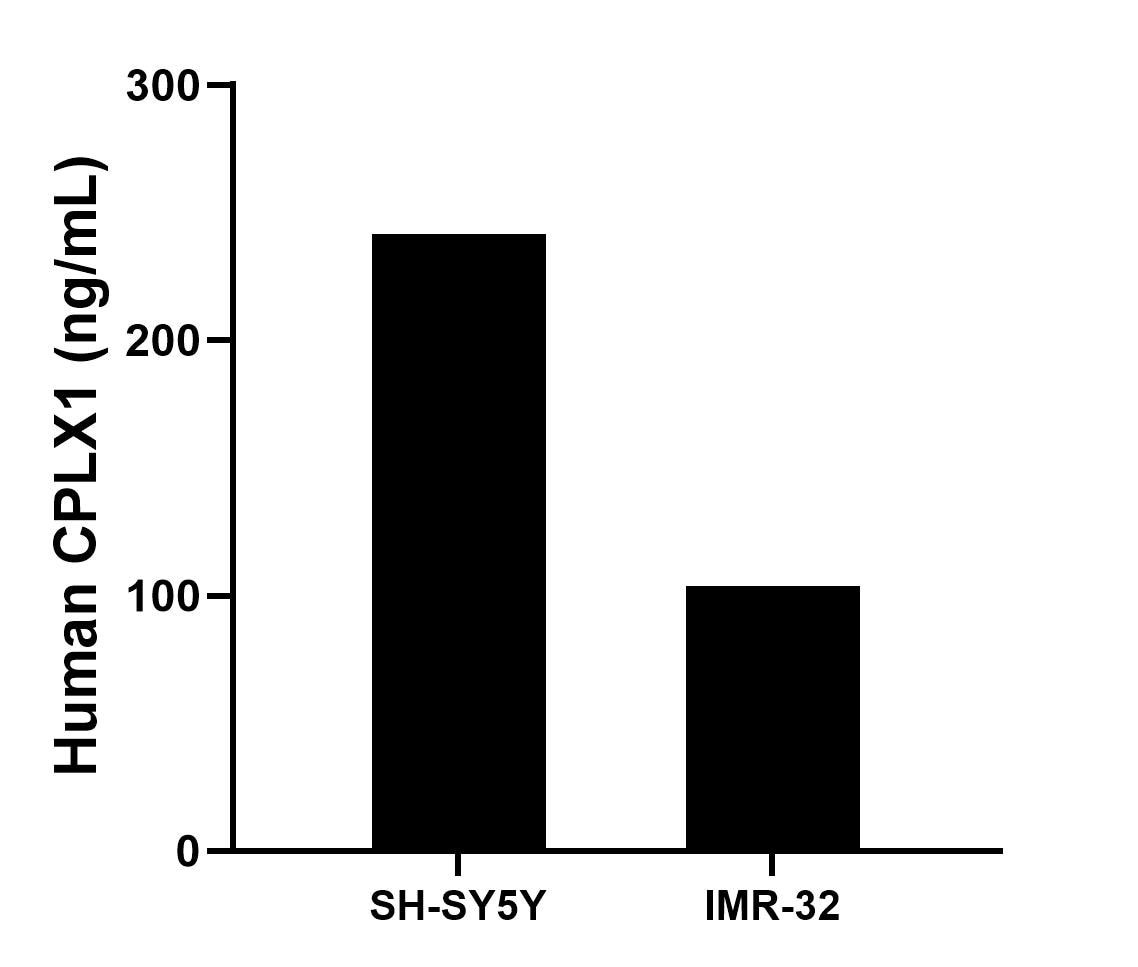 Sample test of MP02175-1