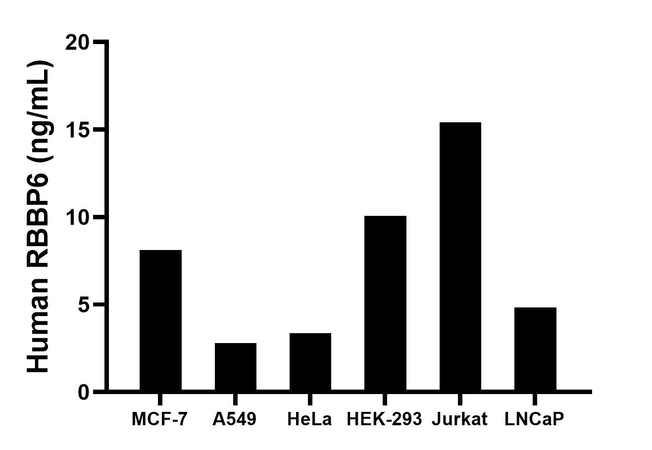 The mean RBBP6 concentration was determined to be 8.11 ng/mL in MCF-7 cell extract based on a 2.40 mg/mL extract load, 2.79 ng/mL in A549 cell extract based on a 2.40 mg/mL extract load, 3.36 ng/mL in HeLa cell extract based on a 0.90 mg/mL extract load, 10.06 ng/mL in HEK-293 cell extract based on a 2.90 mg/mL extract load, 15.41 ng/mL in Jurkat cell extract based on a 2.20 mg/mL extract load and 4.84 ng/mL in LNCaP cell extract based on a 1.20 mg/mL extract load.